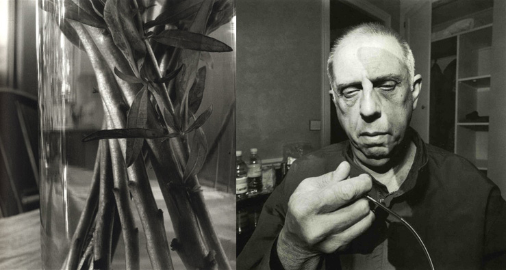 Copyright Lee Friedlander