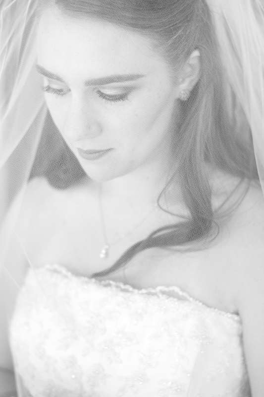 lumu-light-meter-wedding-1