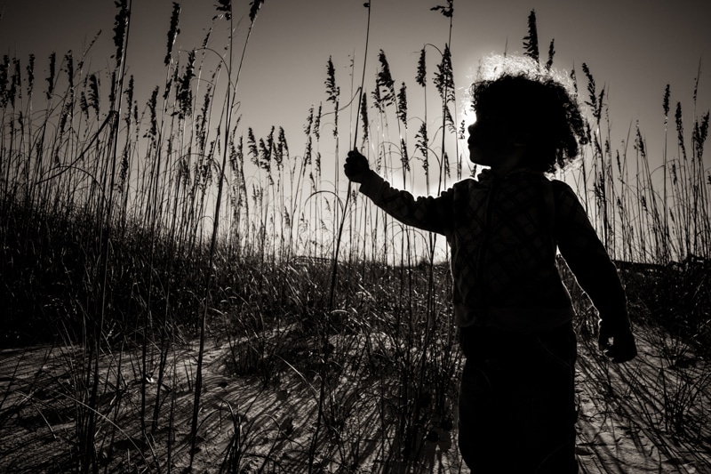 light-in-photography-14