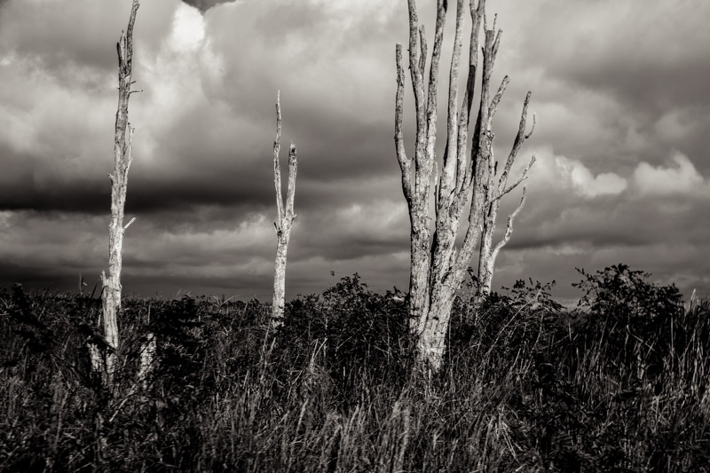 3 ways to develop your photography without shooting a camera INSPIRED EYE