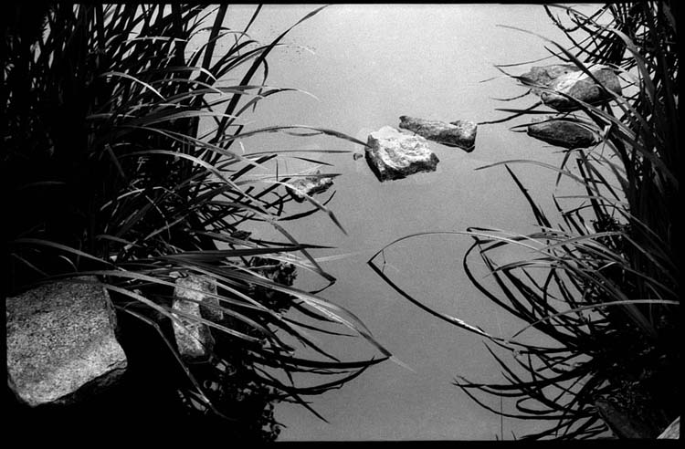 rollei-35-project-14