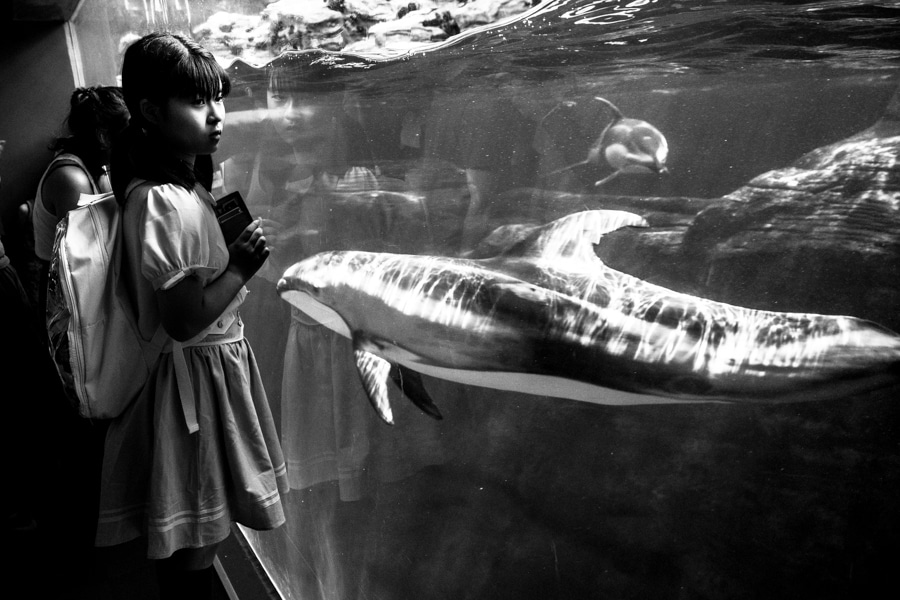 The 8 Musthave Best Olympus lenses for street photography INSPIRED EYE